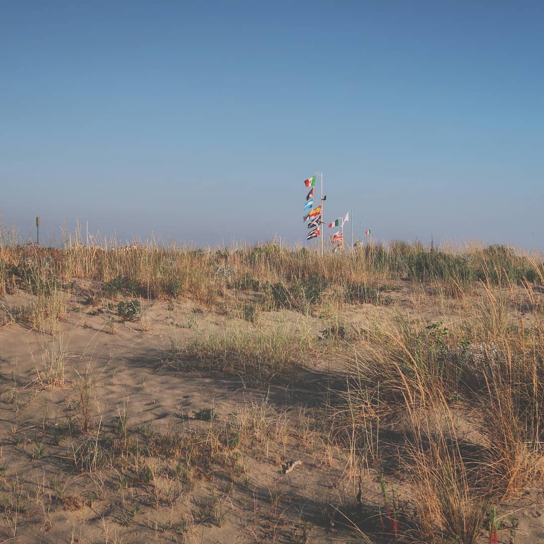 Dune di sabbia dorata punteggiate da ciuffi di vegetazione mediterranea, con piccole bandierine colorate che sventolano nel vento. Il paesaggio tipico della costa toscana si estende sotto un cielo limpido, evocando un'atmosfera estiva e selvaggia.
